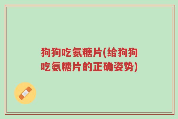 狗狗吃氨糖片(给狗狗吃氨糖片的正确姿势)-第1张图片-超越 狗狗吃氨糖片(给狗狗吃氨糖片的正确姿势)-第1张图片-超越