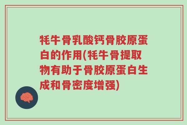 牦牛骨乳酸钙骨胶原蛋白的作用(牦牛骨提取物有助于骨胶原蛋白生成和骨密度增强)-第1张图片-超越 牦牛骨乳酸钙骨胶原蛋白的作用(牦牛骨提取物有助于骨胶原蛋白生成和骨密度增强)-第1张图片-超越