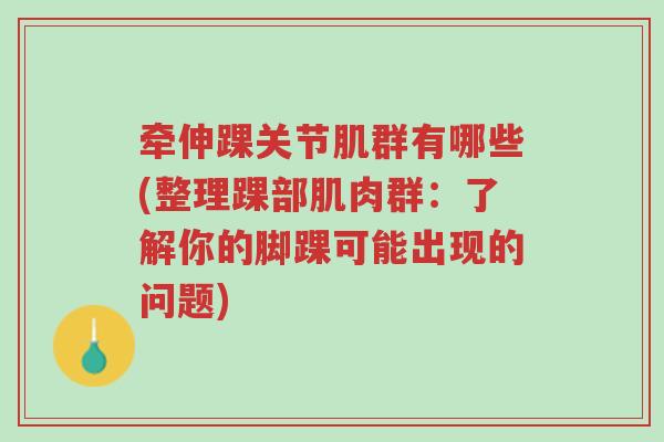 牵伸踝关节肌群有哪些(整理踝部肌肉群:了解你的脚踝可能出现的问题)-第1张图片-超越 牵伸踝关节肌群有哪些(整理踝部肌肉群:了解你的脚踝可能出现的问题)-第1张图片-超越