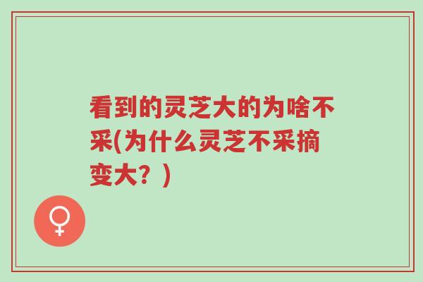 看到的灵芝大的为啥不采(为什么灵芝不采摘变大?)-第1张图片-超越 看到的灵芝大的为啥不采(为什么灵芝不采摘变大?)-第1张图片-超越