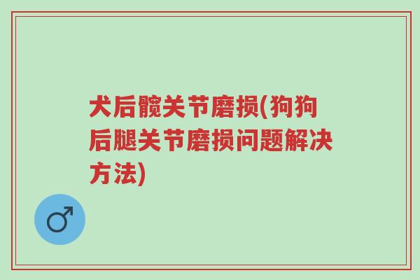 犬后髋关节磨损(狗狗后腿关节磨损问题解决方法)-第1张图片-超越 犬后髋关节磨损(狗狗后腿关节磨损问题解决方法)-第1张图片-超越