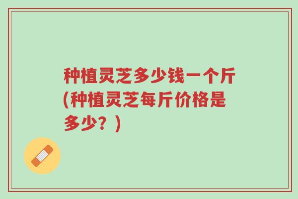 种植灵芝多少钱一个斤(种植灵芝每斤价格是多少?)-第1张图片-超越 种植灵芝多少钱一个斤(种植灵芝每斤价格是多少?)-第1张图片-超越