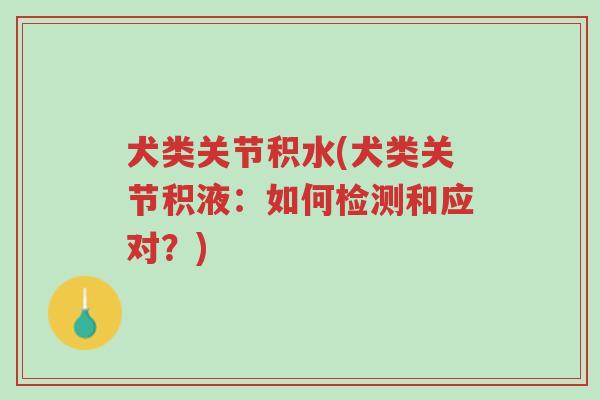 犬类关节积水(犬类关节积液:如何检测和应对?)-第1张图片-超越 犬类关节积水(犬类关节积液:如何检测和应对?)-第1张图片-超越