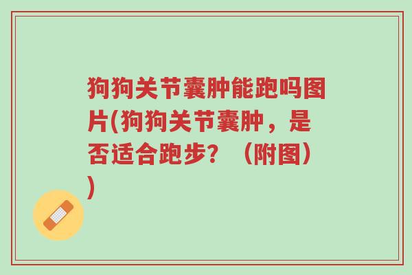 狗狗关节囊肿能跑吗图片(狗狗关节囊肿,是否适合跑步?(附图))-第1张图片-超越 狗狗关节囊肿能跑吗图片(狗狗关节囊肿,是否适合跑步?(附图))-第1张图片-超越
