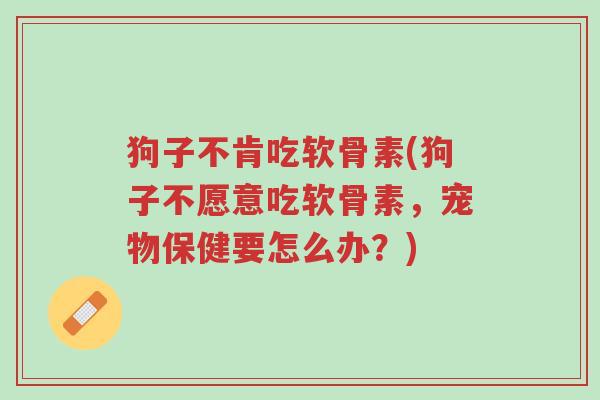 狗子不肯吃软骨素(狗子不愿意吃软骨素，宠物保健要怎么办？)-第1张图片-超越