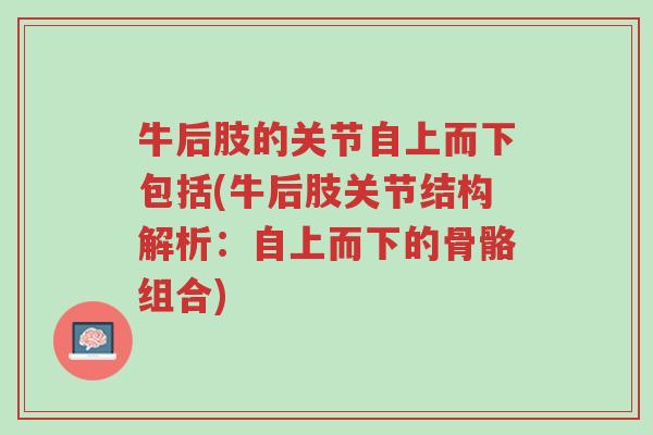 牛后肢的关节自上而下包括(牛后肢关节结构解析：自上而下的骨骼组合)-第1张图片-超越