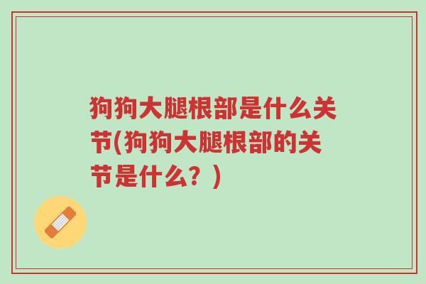 狗狗大腿根部是什么关节(狗狗大腿根部的关节是什么?)-第1张图片-超越 狗狗大腿根部是什么关节(狗狗大腿根部的关节是什么?)-第1张图片-超越