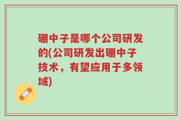 硼中子是哪个公司研发的(公司研发出硼中子技术,有望应用于多领域)-第1张图片-超越 硼中子是哪个公司研发的(公司研发出硼中子技术,有望应用于多领域)-第1张图片-超越