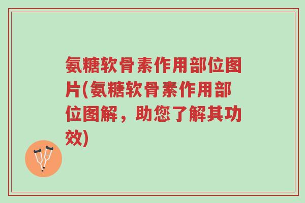 氨糖软骨素作用部位图片(氨糖软骨素作用部位图解,助您了解其功效)-第1张图片-超越 氨糖软骨素作用部位图片(氨糖软骨素作用部位图解,助您了解其功效)-第1张图片-超越