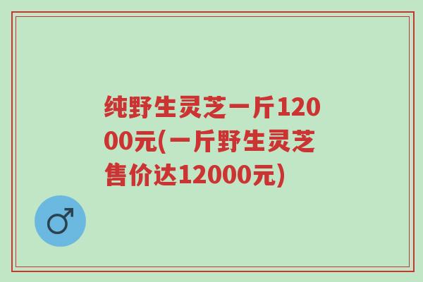 纯野生灵芝一斤12000元(一斤野生灵芝售价达12000元)-第1张图片-超越 纯野生灵芝一斤12000元(一斤野生灵芝售价达12000元)-第1张图片-超越