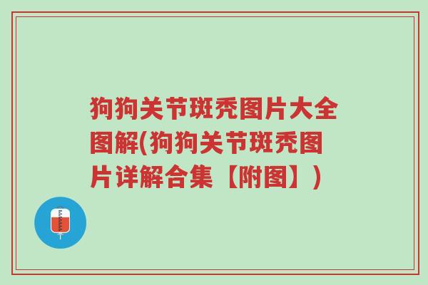 狗狗关节斑秃图片大全图解(狗狗关节斑秃图片详解合集【附图】)-第1张图片-超越 狗狗关节斑秃图片大全图解(狗狗关节斑秃图片详解合集【附图】)-第1张图片-超越