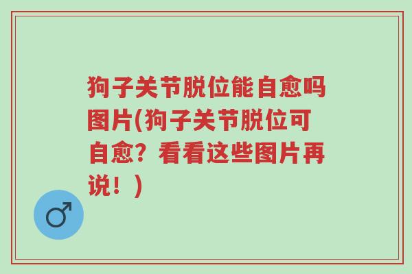 狗子关节脱位能自愈吗图片(狗子关节脱位可自愈？看看这些图片再说！)-第1张图片-超越