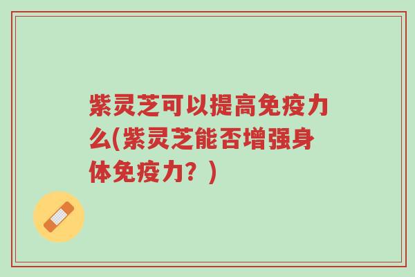 紫灵芝可以提高免疫力么(紫灵芝能否增强身体免疫力？)-第1张图片-超越