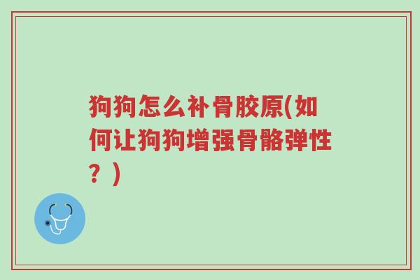 狗狗怎么补骨胶原(如何让狗狗增强骨骼弹性?)-第1张图片-超越 狗狗怎么补骨胶原(如何让狗狗增强骨骼弹性?)-第1张图片-超越