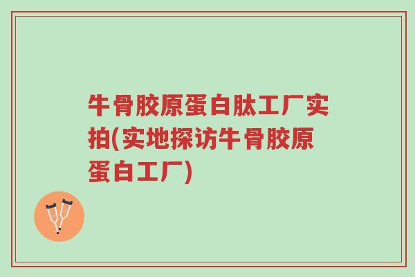 牛骨胶原蛋白肽工厂实拍(实地探访牛骨胶原蛋白工厂)-第1张图片-超越 牛骨胶原蛋白肽工厂实拍(实地探访牛骨胶原蛋白工厂)-第1张图片-超越