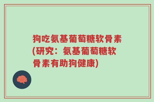 狗吃氨基葡萄糖软骨素(研究:氨基葡萄糖软骨素有助狗健康)-第1张图片-超越 狗吃氨基葡萄糖软骨素(研究:氨基葡萄糖软骨素有助狗健康)-第1张图片-超越