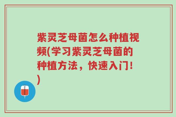 紫灵芝母菌怎么种植视频(学习紫灵芝母菌的种植方法,快速入门!)-第1张图片-超越 紫灵芝母菌怎么种植视频(学习紫灵芝母菌的种植方法,快速入门!)-第1张图片-超越