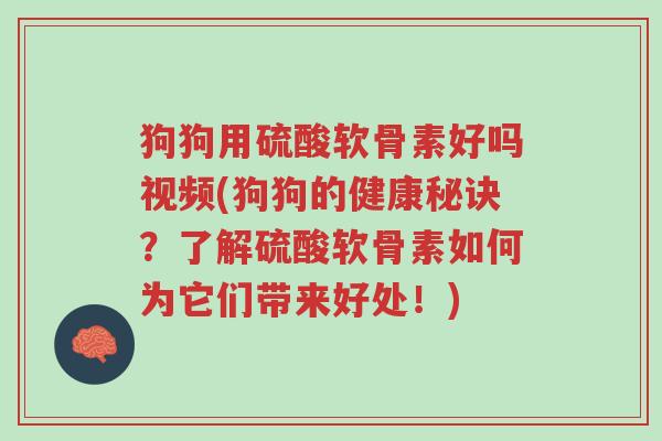 狗狗用硫酸软骨素好吗视频(狗狗的健康秘诀?了解硫酸软骨素如何为它们带来好处!)-第1张图片-超越 狗狗用硫酸软骨素好吗视频(狗狗的健康秘诀?了解硫酸软骨素如何为它们带来好处!)-第1张图片-超越