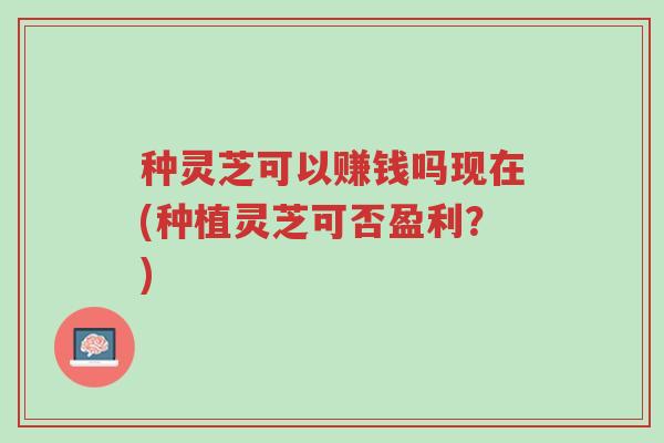 种灵芝可以赚钱吗现在(种植灵芝可否盈利?)-第1张图片-超越 种灵芝可以赚钱吗现在(种植灵芝可否盈利?)-第1张图片-超越