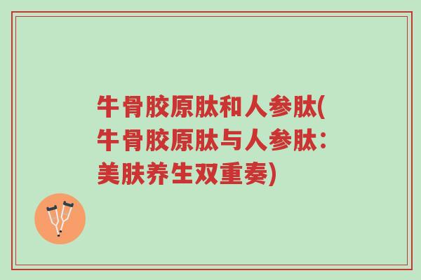 牛骨胶原肽和人参肽(牛骨胶原肽与人参肽:美肤养生双重奏)-第1张图片-超越 牛骨胶原肽和人参肽(牛骨胶原肽与人参肽:美肤养生双重奏)-第1张图片-超越