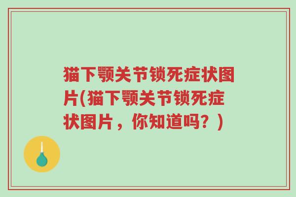 猫下颚关节锁死症状图片(猫下颚关节锁死症状图片,你知道吗?)-第1张图片-超越 猫下颚关节锁死症状图片(猫下颚关节锁死症状图片,你知道吗?)-第1张图片-超越