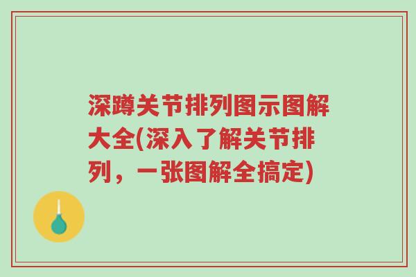 深蹲关节排列图示图解大全(深入了解关节排列,一张图解全搞定)-第1张图片-超越 深蹲关节排列图示图解大全(深入了解关节排列,一张图解全搞定)-第1张图片-超越
