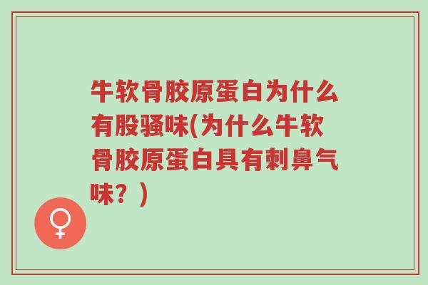 牛软骨胶原蛋白为什么有股骚味(为什么牛软骨胶原蛋白具有刺鼻气味?)-第1张图片-超越 牛软骨胶原蛋白为什么有股骚味(为什么牛软骨胶原蛋白具有刺鼻气味?)-第1张图片-超越