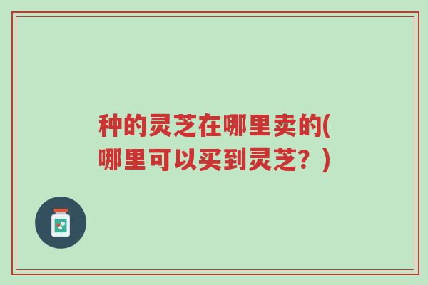 种的灵芝在哪里卖的(哪里可以买到灵芝?)-第1张图片-超越 种的灵芝在哪里卖的(哪里可以买到灵芝?)-第1张图片-超越