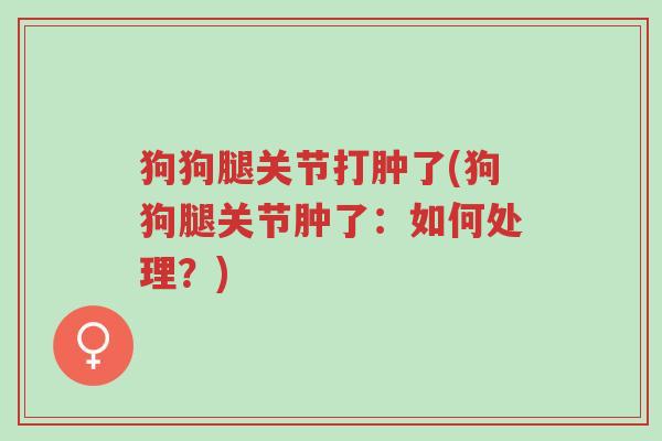 狗狗腿关节打肿了(狗狗腿关节肿了:如何处理?)-第1张图片-超越 狗狗腿关节打肿了(狗狗腿关节肿了:如何处理?)-第1张图片-超越