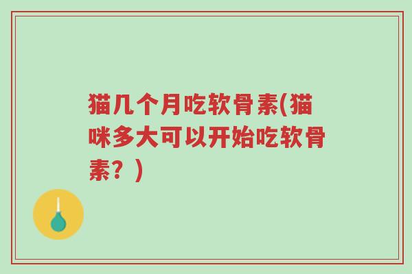 猫几个月吃软骨素(猫咪多大可以开始吃软骨素?)-第1张图片-超越 猫几个月吃软骨素(猫咪多大可以开始吃软骨素?)-第1张图片-超越