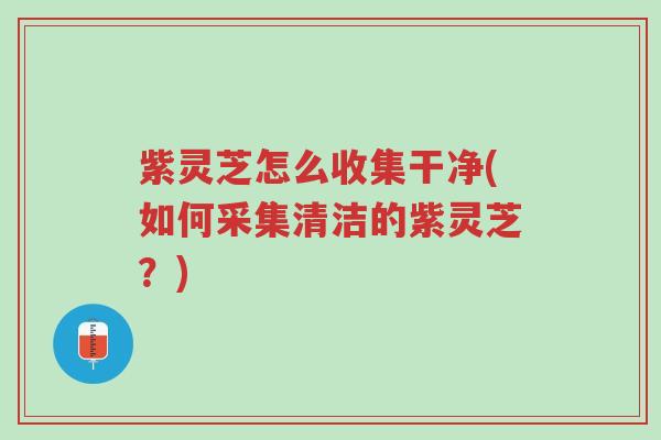 紫灵芝怎么收集干净(如何采集清洁的紫灵芝?)-第1张图片-超越 紫灵芝怎么收集干净(如何采集清洁的紫灵芝?)-第1张图片-超越