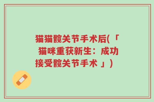 猫猫髋关节手术后(「 猫咪重获新生:成功接受髋关节手术 」)-第1张图片-超越 猫猫髋关节手术后(「 猫咪重获新生:成功接受髋关节手术 」)-第1张图片-超越