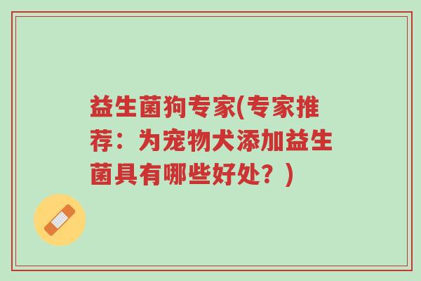 益生菌狗专家(专家推荐:为宠物犬添加益生菌具有哪些好处?)-第1张图片-超越 益生菌狗专家(专家推荐:为宠物犬添加益生菌具有哪些好处?)-第1张图片-超越