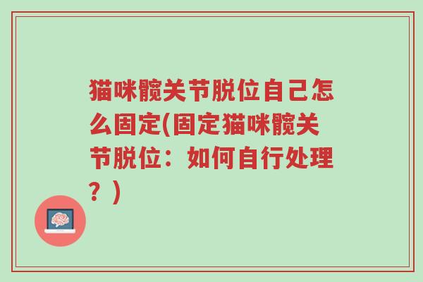 猫咪髋关节脱位自己怎么固定(固定猫咪髋关节脱位:如何自行处理?)-第1张图片-超越 猫咪髋关节脱位自己怎么固定(固定猫咪髋关节脱位:如何自行处理?)-第1张图片-超越