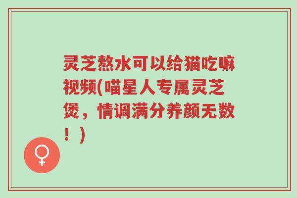 灵芝熬水可以给猫吃嘛视频(喵星人专属灵芝煲,情调满分养颜无数!)-第1张图片-超越 灵芝熬水可以给猫吃嘛视频(喵星人专属灵芝煲,情调满分养颜无数!)-第1张图片-超越