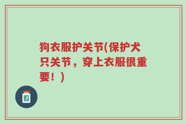 狗衣服护关节(保护犬只关节，穿上衣服很重要！)-第1张图片-超越