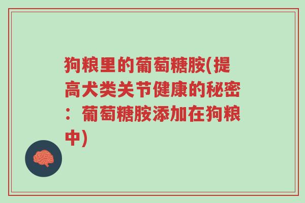 狗粮里的葡萄糖胺(提高犬类关节健康的秘密:葡萄糖胺添加在狗粮中)-第1张图片-超越 狗粮里的葡萄糖胺(提高犬类关节健康的秘密:葡萄糖胺添加在狗粮中)-第1张图片-超越