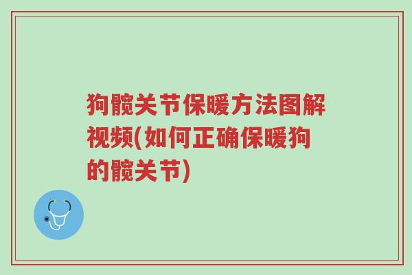 狗髋关节保暖方法图解视频(如何正确保暖狗的髋关节)-第1张图片-超越 狗髋关节保暖方法图解视频(如何正确保暖狗的髋关节)-第1张图片-超越