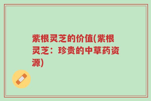 紫根灵芝的价值(紫根灵芝:珍贵的中草药资源)-第1张图片-超越 紫根灵芝的价值(紫根灵芝:珍贵的中草药资源)-第1张图片-超越