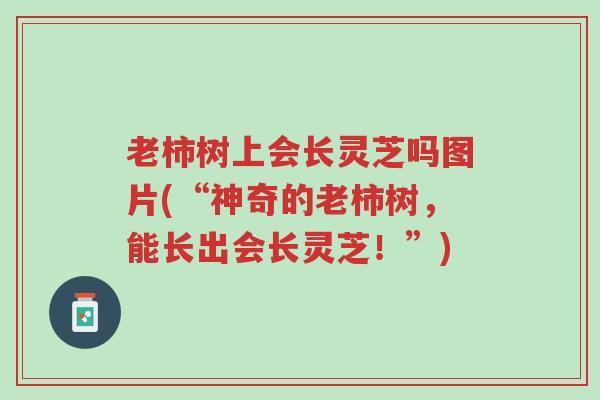 老柿树上会长灵芝吗图片(“神奇的老柿树,能长出会长灵芝!”)-第1张图片-超越 老柿树上会长灵芝吗图片(“神奇的老柿树,能长出会长灵芝!”)-第1张图片-超越