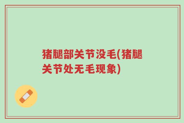 猪腿部关节没毛(猪腿关节处无毛现象)-第1张图片-超越 猪腿部关节没毛(猪腿关节处无毛现象)-第1张图片-超越