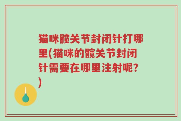 猫咪髋关节封闭针打哪里(猫咪的髋关节封闭针需要在哪里注射呢?)-第1张图片-超越 猫咪髋关节封闭针打哪里(猫咪的髋关节封闭针需要在哪里注射呢?)-第1张图片-超越