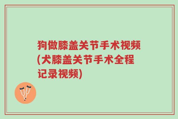 狗做膝盖关节手术视频(犬膝盖关节手术全程记录视频)-第1张图片-超越 狗做膝盖关节手术视频(犬膝盖关节手术全程记录视频)-第1张图片-超越