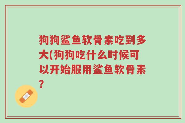 狗狗鲨鱼软骨素吃到多大(狗狗吃什么时候可以开始服用鲨鱼软骨素?-第1张图片-超越 狗狗鲨鱼软骨素吃到多大(狗狗吃什么时候可以开始服用鲨鱼软骨素?-第1张图片-超越
