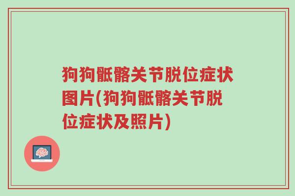 狗狗骶髂关节脱位症状图片(狗狗骶髂关节脱位症状及照片)-第1张图片-超越 狗狗骶髂关节脱位症状图片(狗狗骶髂关节脱位症状及照片)-第1张图片-超越