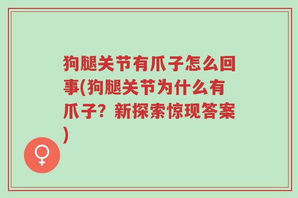 狗腿关节有爪子怎么回事(狗腿关节为什么有爪子?新探索惊现答案)-第1张图片-超越 狗腿关节有爪子怎么回事(狗腿关节为什么有爪子?新探索惊现答案)-第1张图片-超越