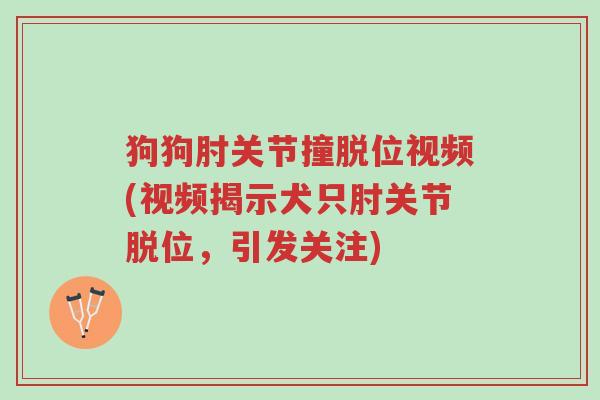狗狗肘关节撞脱位视频(视频揭示犬只肘关节脱位,引发关注)-第1张图片-超越 狗狗肘关节撞脱位视频(视频揭示犬只肘关节脱位,引发关注)-第1张图片-超越