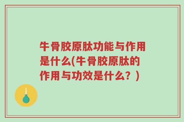 牛骨胶原肽功能与作用是什么(牛骨胶原肽的作用与功效是什么?)-第1张图片-超越 牛骨胶原肽功能与作用是什么(牛骨胶原肽的作用与功效是什么?)-第1张图片-超越