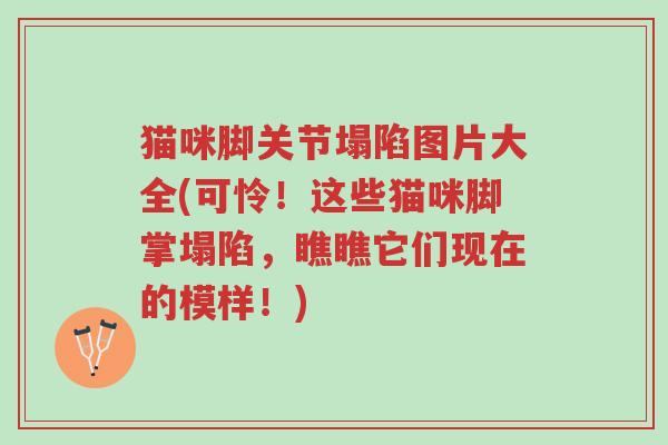 猫咪脚关节塌陷图片大全(可怜!这些猫咪脚掌塌陷,瞧瞧它们现在的模样!)-第1张图片-超越 猫咪脚关节塌陷图片大全(可怜!这些猫咪脚掌塌陷,瞧瞧它们现在的模样!)-第1张图片-超越