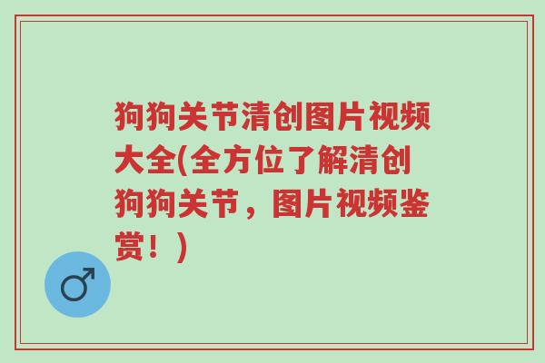 狗狗关节清创图片视频大全(全方位了解清创狗狗关节，图片视频鉴赏！)-第1张图片-超越